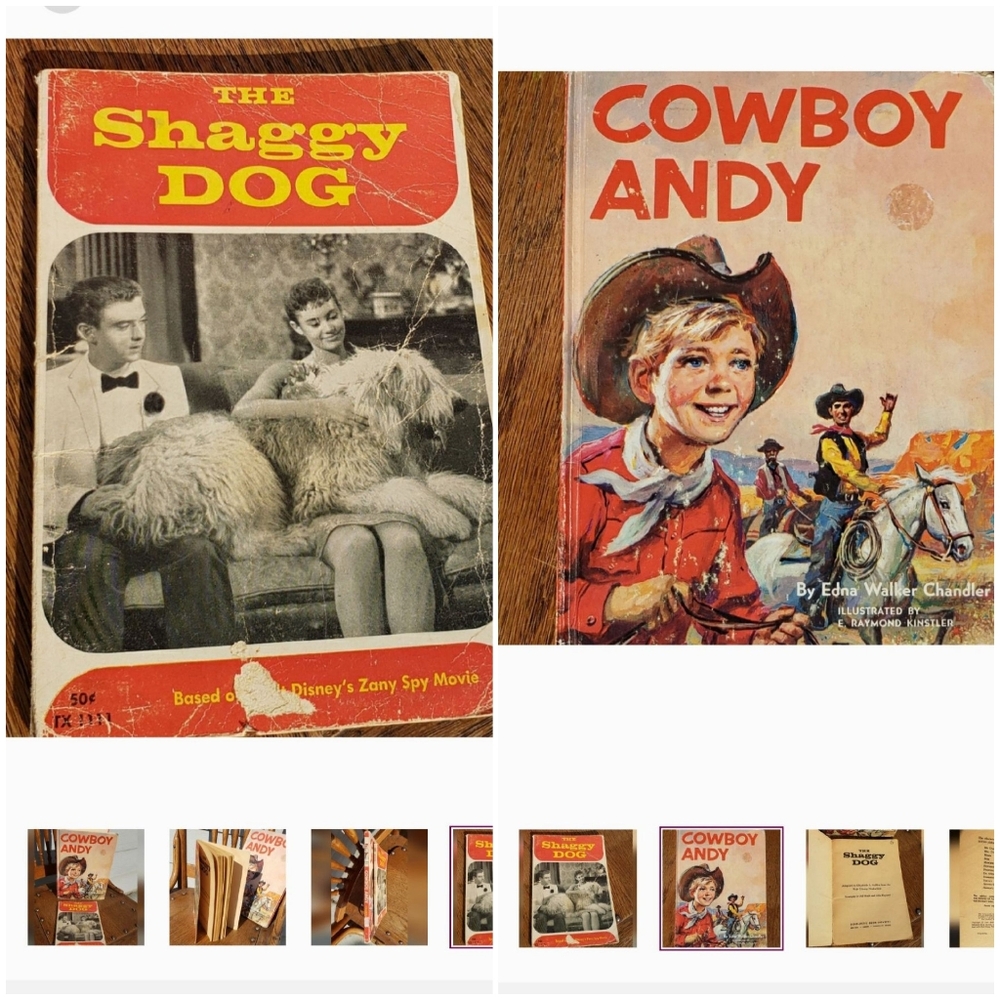 vintage Childrens 60's Books Disney   🐎 Cowboy Andy & Shaggy Dog Lot Of 2